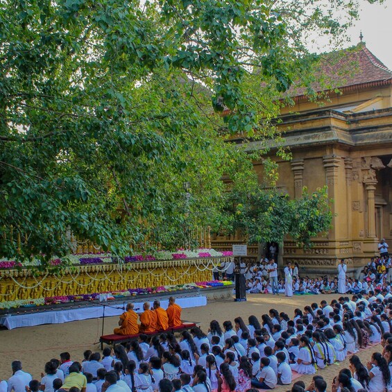 Picture 2 for Activity Colombo Port Shore Excursions Colombo City & Kalaniya Temple