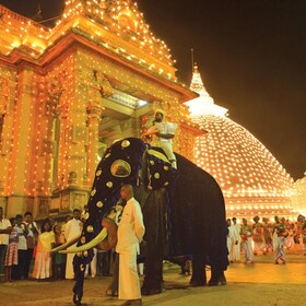 Colombo Port Shore Excursions Colombo City & Kalaniya Temple