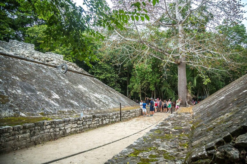 Picture 14 for Activity Chichen Itza and Coba Ruins + Cenote Swimming full day tour