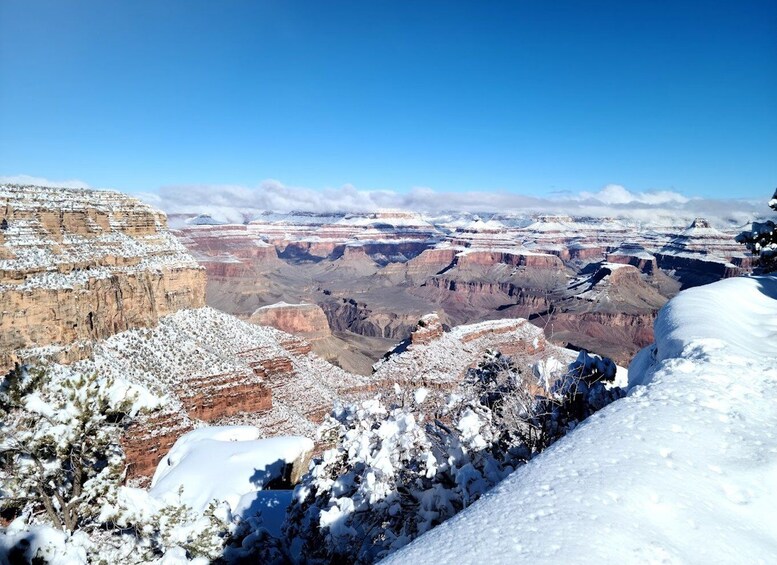 Picture 1 for Activity Arizona: Grand Canyon National Park Tour with Lunch & Pickup