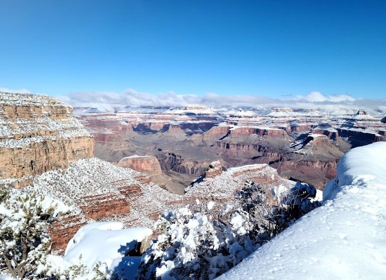 Picture 1 for Activity Arizona: Grand Canyon National Park Tour with Lunch & Pickup