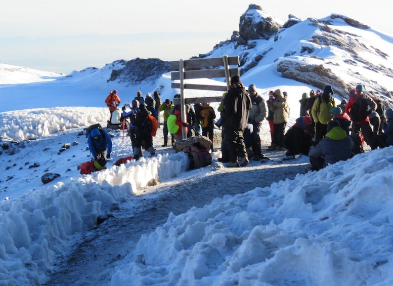 Picture 3 for Activity Kilimanjaro National Park – Shira Plateau Day Trip