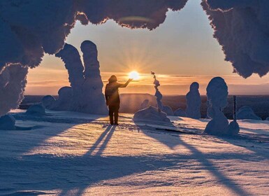 Rovaniemi: Riisitunturi kokopäivän erämaaseikkailu & grillaus