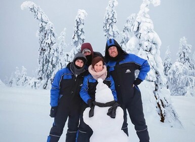 Rovaniemi: Riisitunturi d'un dia complet a la natura i barbacoa