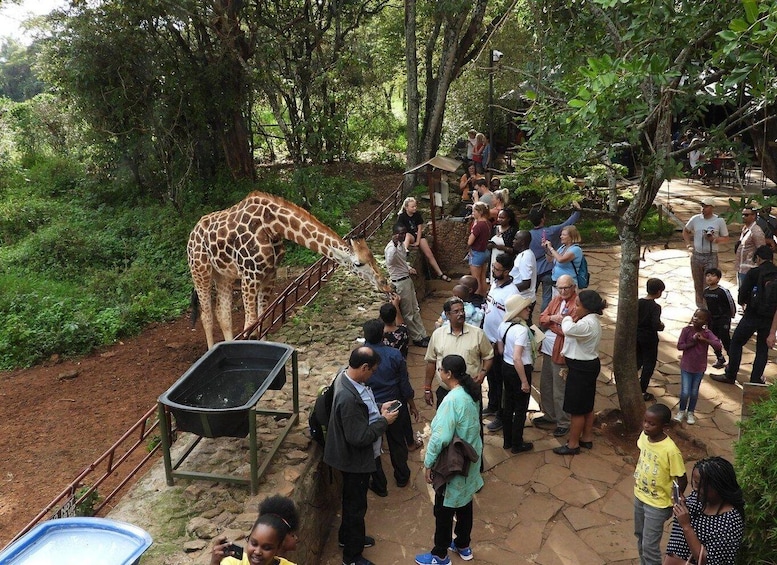 Nairobi: Visit Giraffe Centre with Kazuri Beads Factory