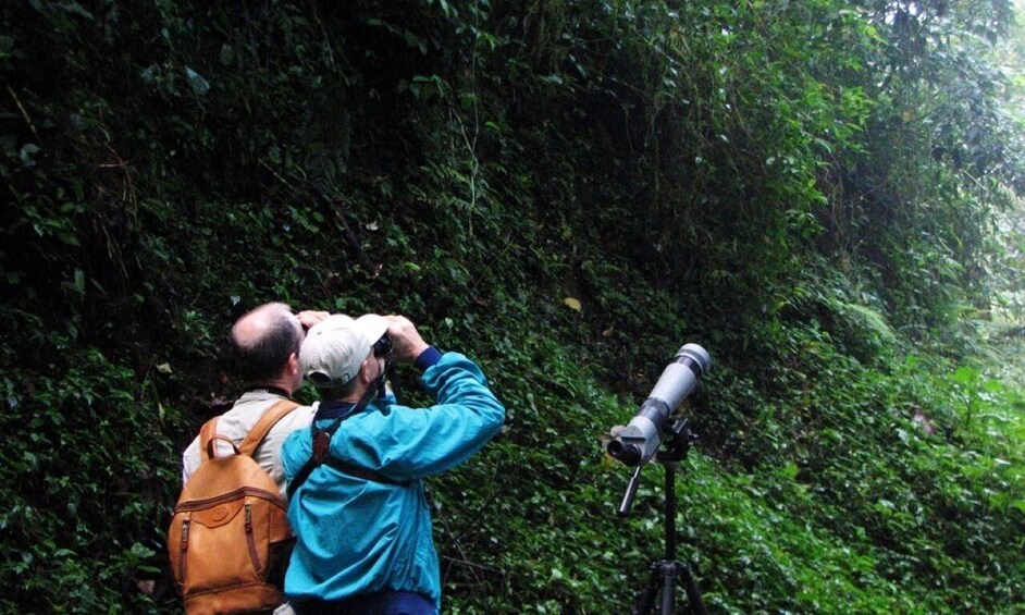 Picture 3 for Activity Monteverde and Santa Elena: Cloud Forest Bird-Watching Tour