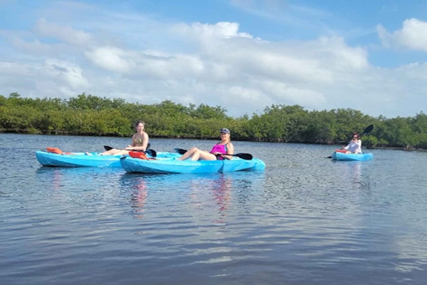 Picture 3 for Activity Naples, FL: Guided Standup Paddleboard or Kayak Tour