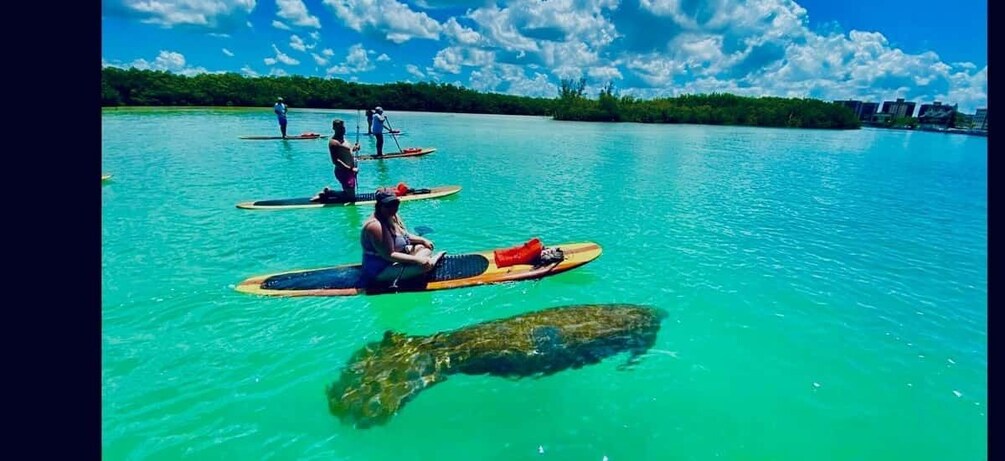 Naples, FL: Guided Standup Paddleboard or Kayak Tour