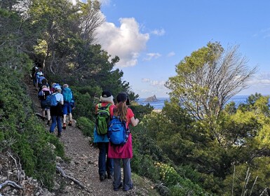 马雷蒂莫徒步旅行和乘船游览海蚀洞