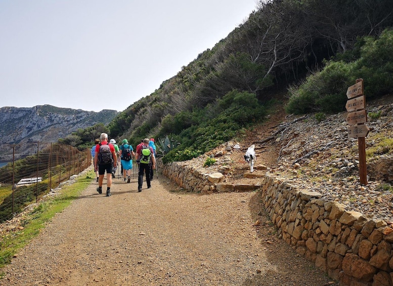 Picture 1 for Activity Marettimo Hiking and nice boat tour to visit sea caves