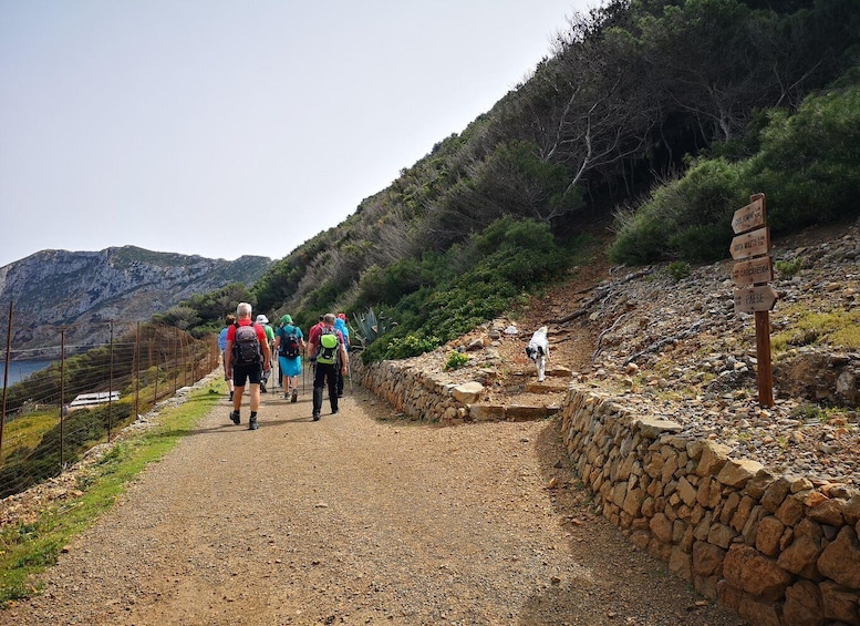 Picture 1 for Activity Marettimo Hiking and nice boat tour to visit sea caves