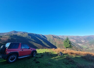 Aveiro - Coimbra - Offroad Experience