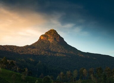 Från Kandy: Adams Peak Trekking & Episk guidad vandring