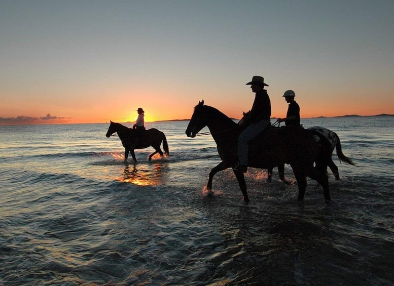 Picture 3 for Activity Holbox: Guided Horseback Ride on the Beach
