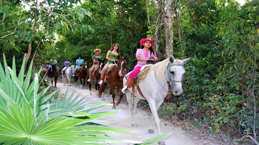 Picture 6 for Activity Holbox: Guided Horseback Ride on the Beach