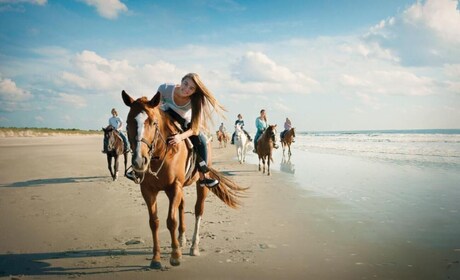 Holbox: Guided Horseback Ride on the Beach