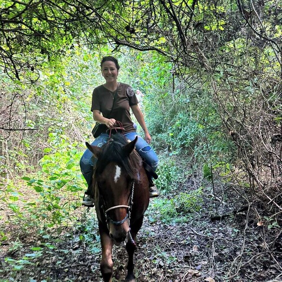 Picture 11 for Activity Holbox: Guided Horseback Ride on the Beach