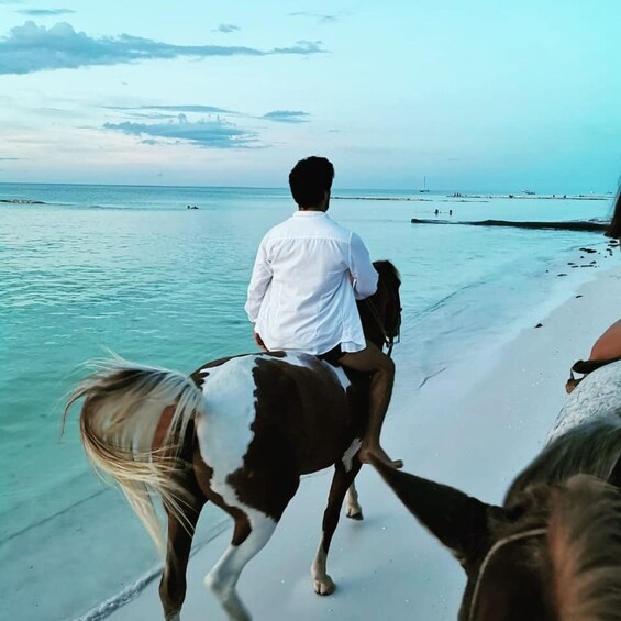 Picture 15 for Activity Holbox: Guided Horseback Ride on the Beach