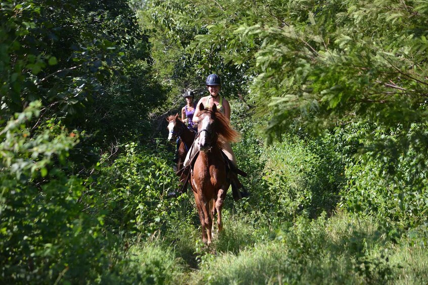 Picture 10 for Activity Holbox: Guided Horseback Ride on the Beach