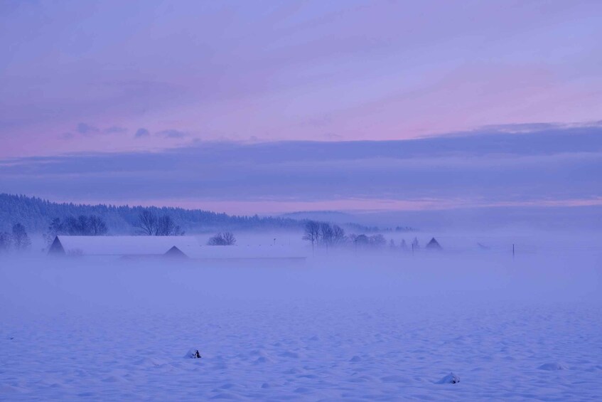 Picture 2 for Activity From Rovaniemi: Amethyst Mine Guided Tour