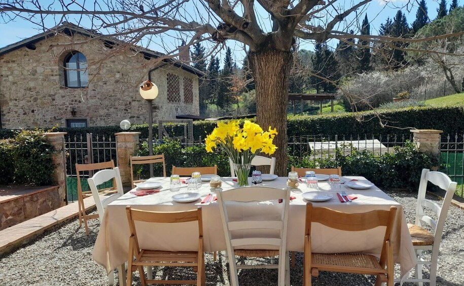 Picture 3 for Activity Chianti: Homemade Pasta Making Class and Lunch