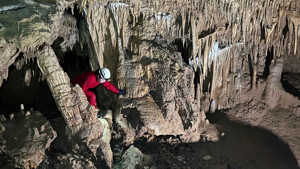 Picture 8 for Activity Okinoerabu:Amazing Caving Tour!