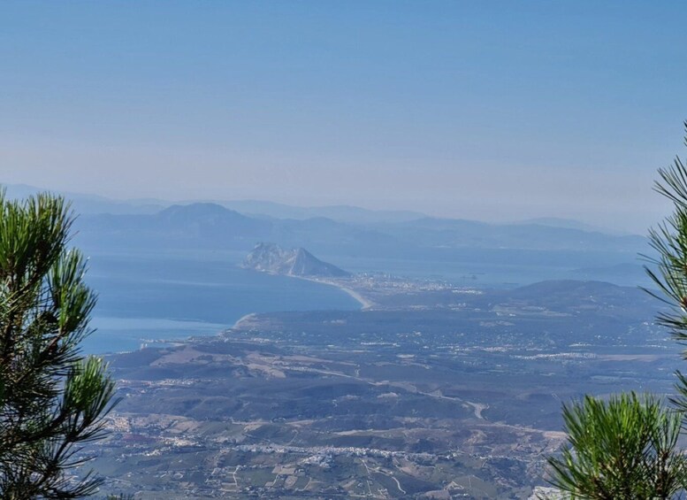 Picture 9 for Activity From Costa del Sol: Sierra Bermeja Private Hiking Tour