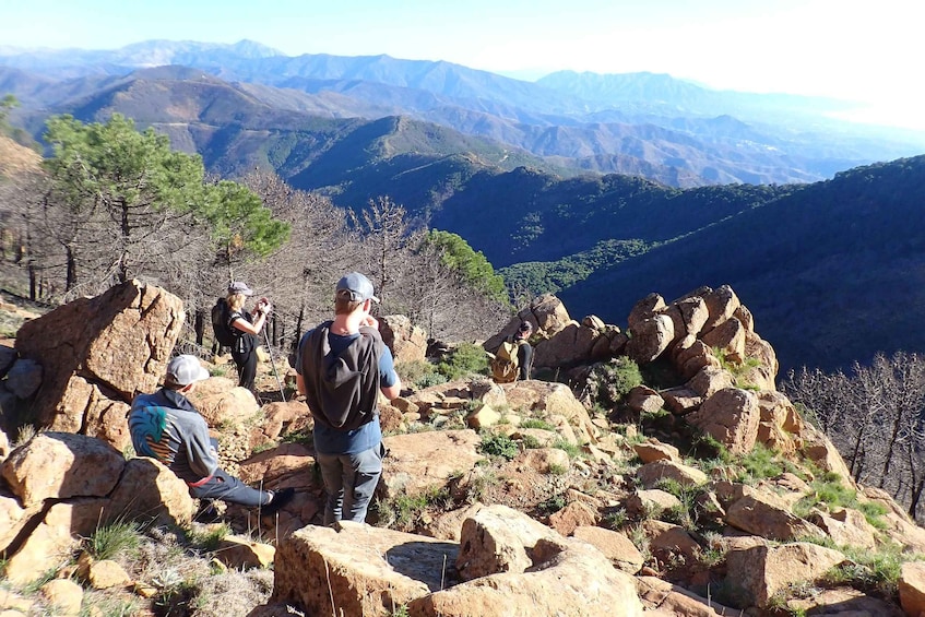 Picture 1 for Activity From Costa del Sol: Sierra Bermeja Private Hiking Tour