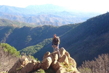 From Costa del Sol: Sierra Bermeja Private Hiking Tour