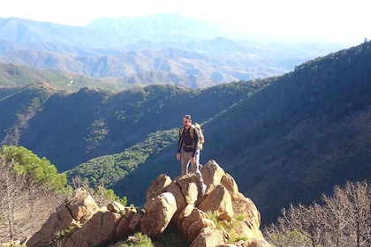 From Costa del Sol: Sierra Bermeja Private Hiking Tour