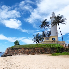 Negombo: Turtle hatchery, River safari, moon stone & Galle