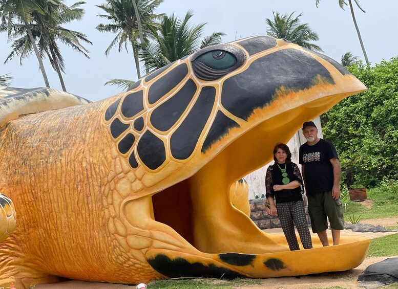 Picture 6 for Activity Negombo: Turtle hatchery, River safari, moon stone & Galle