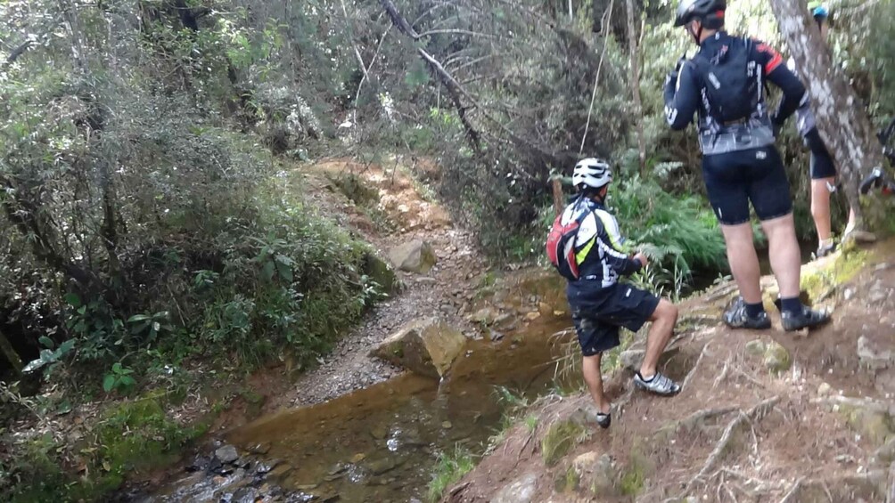 Picture 1 for Activity tour parque arvi bike parks y bosques de medellin