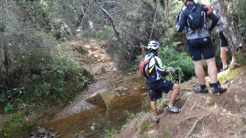 Picture 1 for Activity tour parque arvi bike parks y bosques de medellin