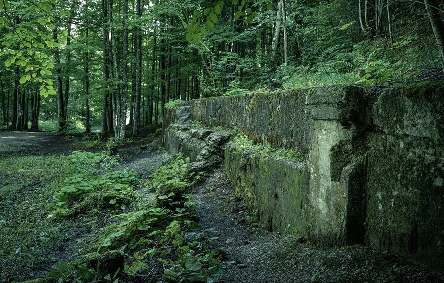 Picture 1 for Activity Berchtesgaden: Private Eagle's Nest & Obersalzberg WWII Tour