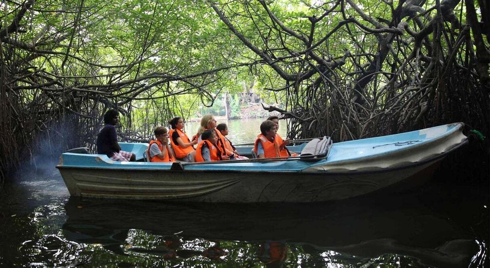 Picture 7 for Activity Mirissa/Weligama/Galle: Galle & Bentota Coastal Day Tour