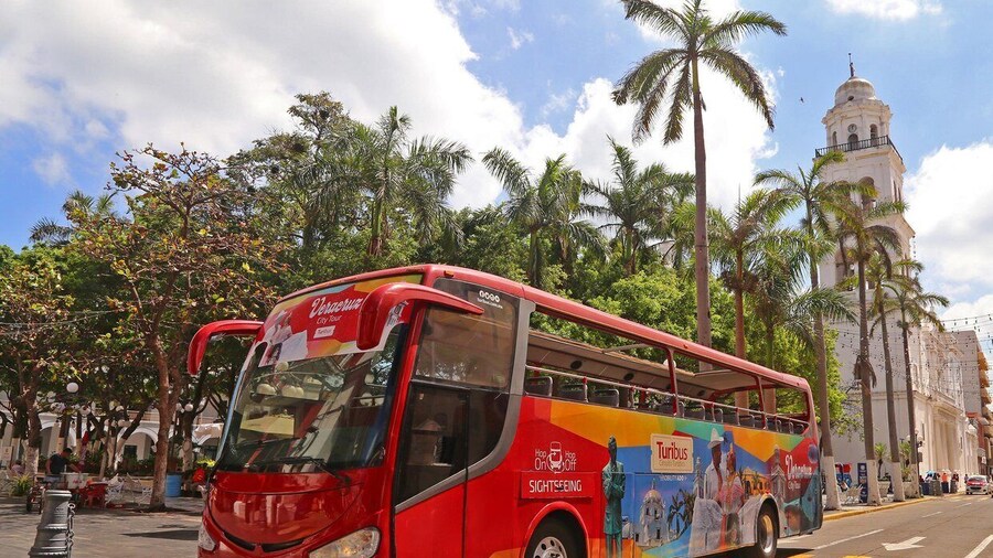 Veracruz: Sightseeing City Tour and Aquarium