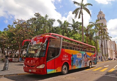 Veracruz: Panoramic Sightseeing City Tour and Aquarium