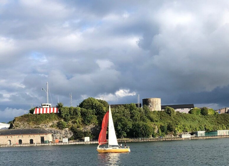 Picture 3 for Activity Cork: 2-Hour Guided Cork Harbour Scenic Cruise