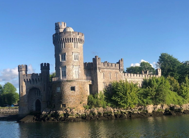 Picture 4 for Activity Cork: 2-Hour Guided Cork Harbour Scenic Cruise