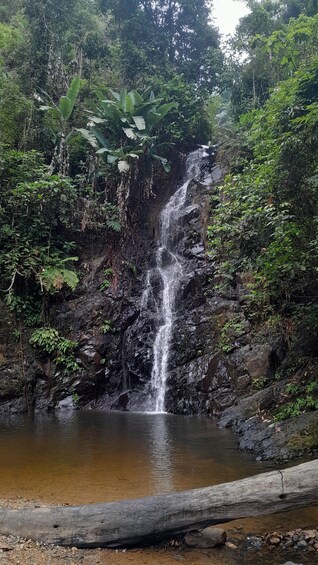 Picture 1 for Activity Kedah: Bike Tour of Langkawi with Waterfall Swim & Dessert