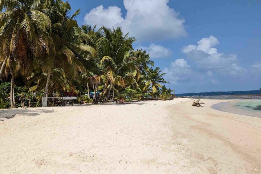 Picture 8 for Activity Overnight on San Blas Paradise Island in Private Cabin