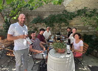 Private Krka Waterfalls tour, Boat Ride; Wine & Food Tasting