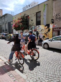 Excursión en Bicicleta: Buenos Aires al Norte (E-Bike)