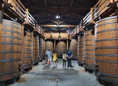 Au départ de Taormine : Visite privée excursion de Taormine et des vignoble...