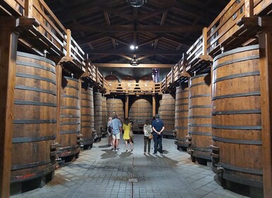 Desde Taormina: recorrido privado por Taormina y visita a la bodega del Etn...