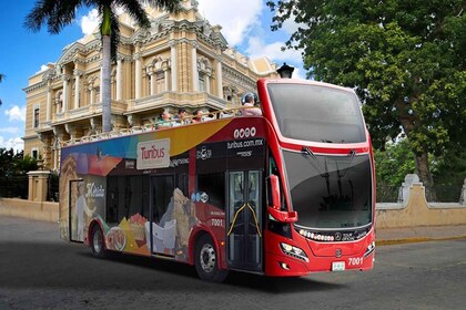 Mérida: Panoramic Sightseeing Tour Bus Ticket with 2 Routes