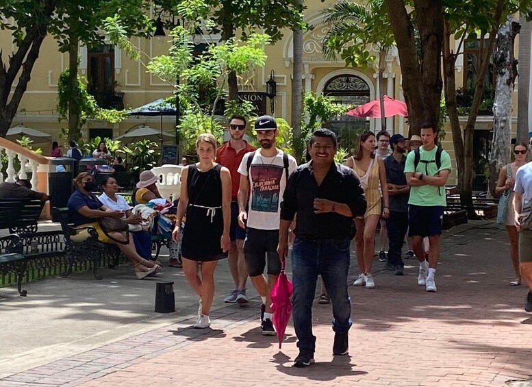 Picture 5 for Activity Tour the great city of Mérida, Yucatán