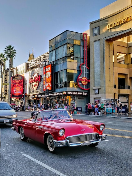 Los Angeles & Hollywood Small Group Day Tour