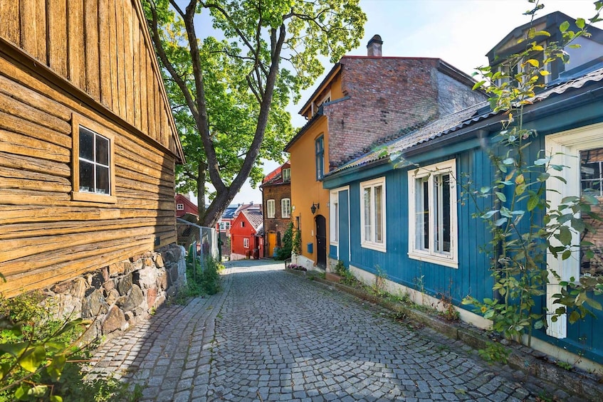 Picture 2 for Activity Oslo Private Tour: Hidden Gems City Walk With Local & Dog